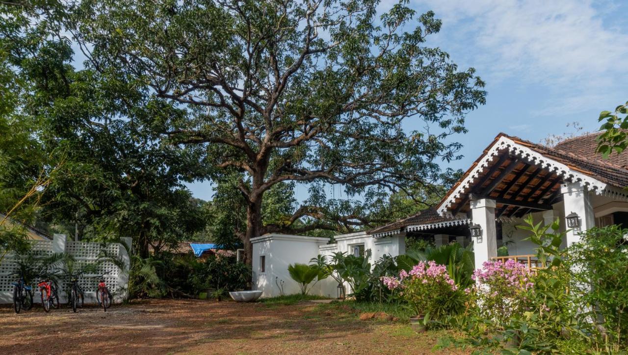 The Island Sanctuary - A Village Secret Chorao المظهر الخارجي الصورة